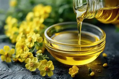 Evening Primprose Oil 