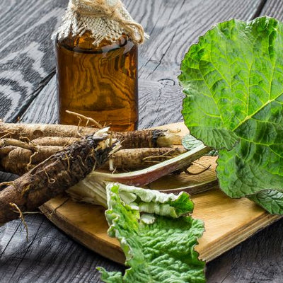Burdock root extract