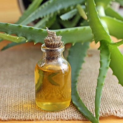 Aloe Extract