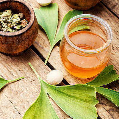 Ginkgo Extract