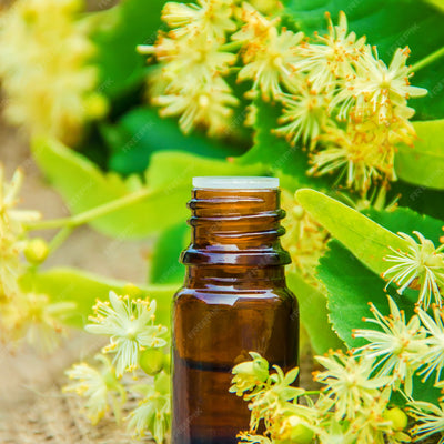 Extracto De Flor De Tilo