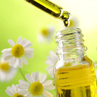 Chamomile Extract
